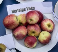 Herfølge Voksæble